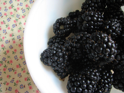 blackberries.jpg